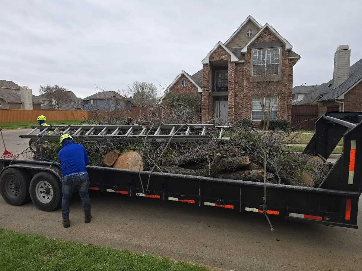 Expert Tree Removal with proper safety equipment in Byrnedale